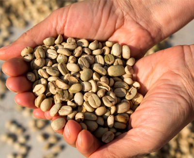beans-in-hands